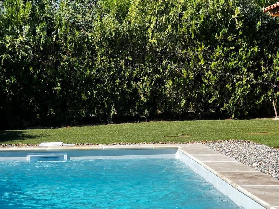 Jungle House Villa